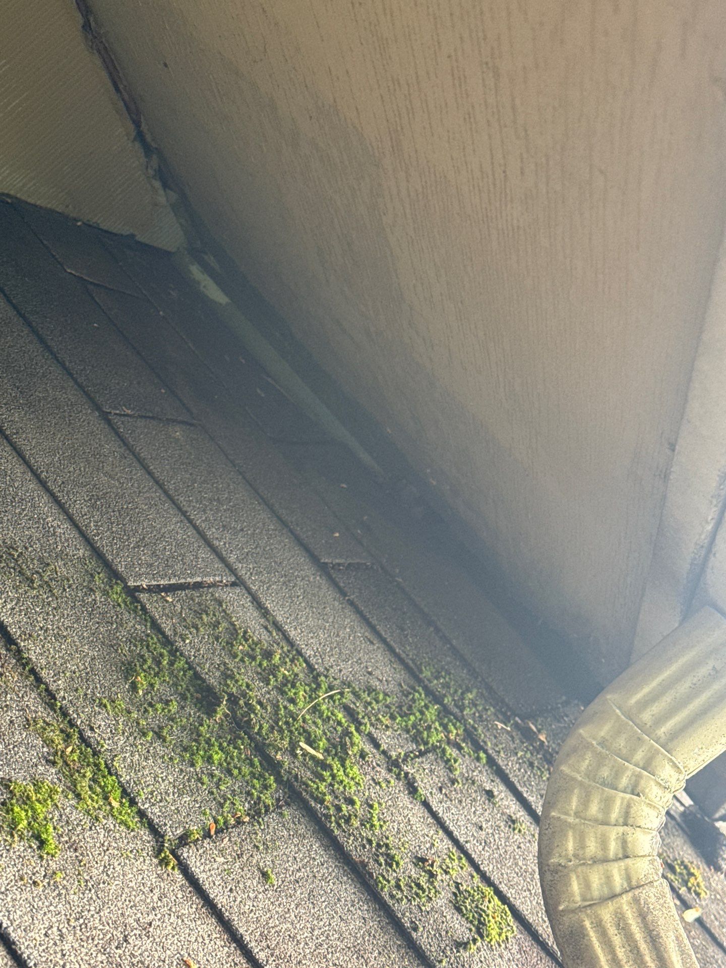 Mold growth on roof, fixed by Paddys in Newark DE
