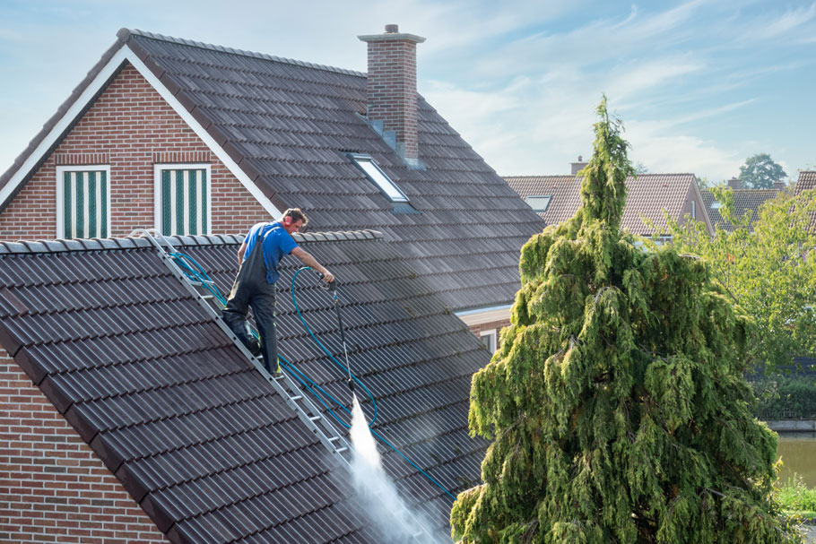 Expert Roof Revival: Unveiling Newark’s Premier Cleaning Service